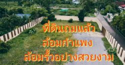 ขายที่ดินเกือบ 1ไร่ แปลงหัวมุม ติดถนนใหญ่ถนนเพชรหึงษ์ ทำเลดีมาก